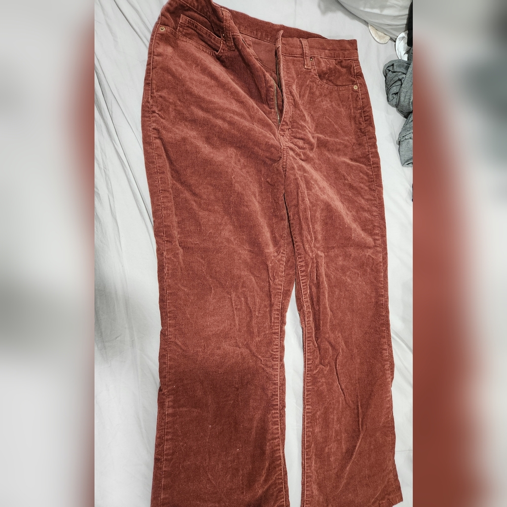 Uniqlo pants